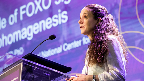 The role of FOXO signaling in lymphomagenesis