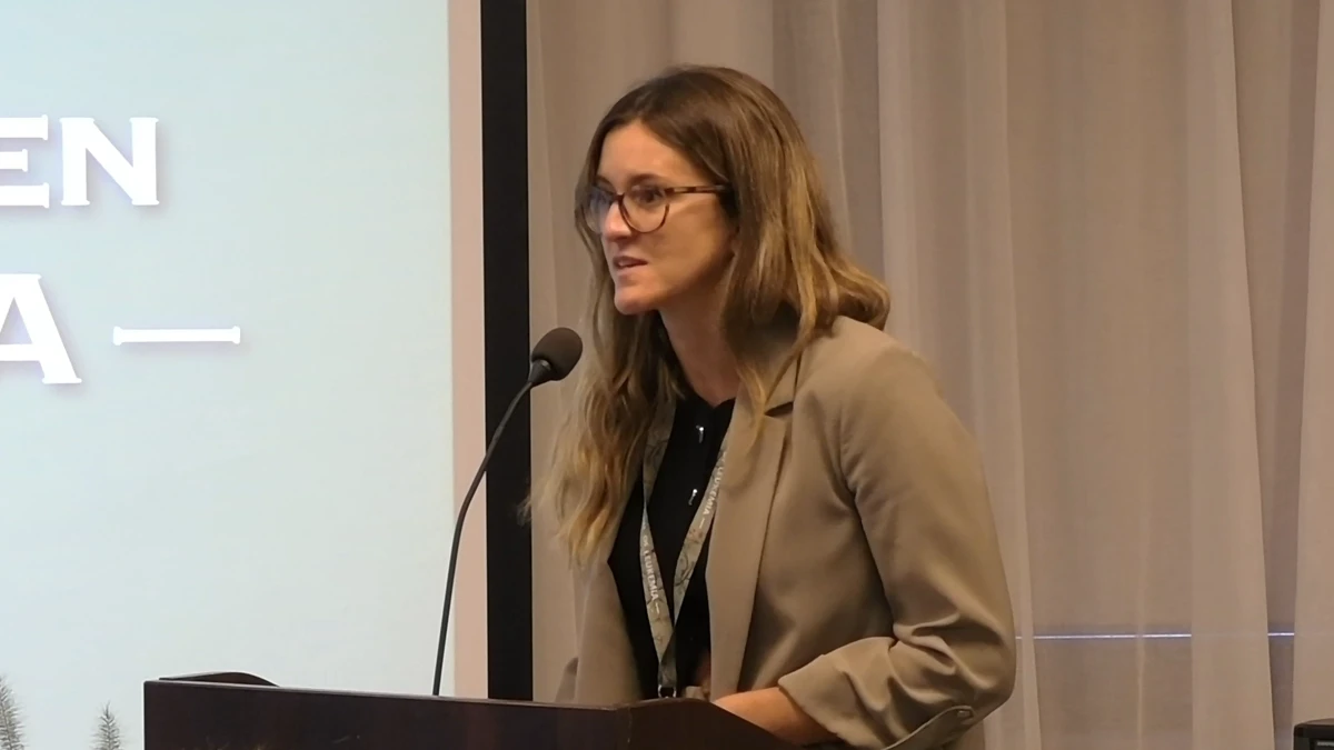 The curious case of blastic dendritic cell neoplasms