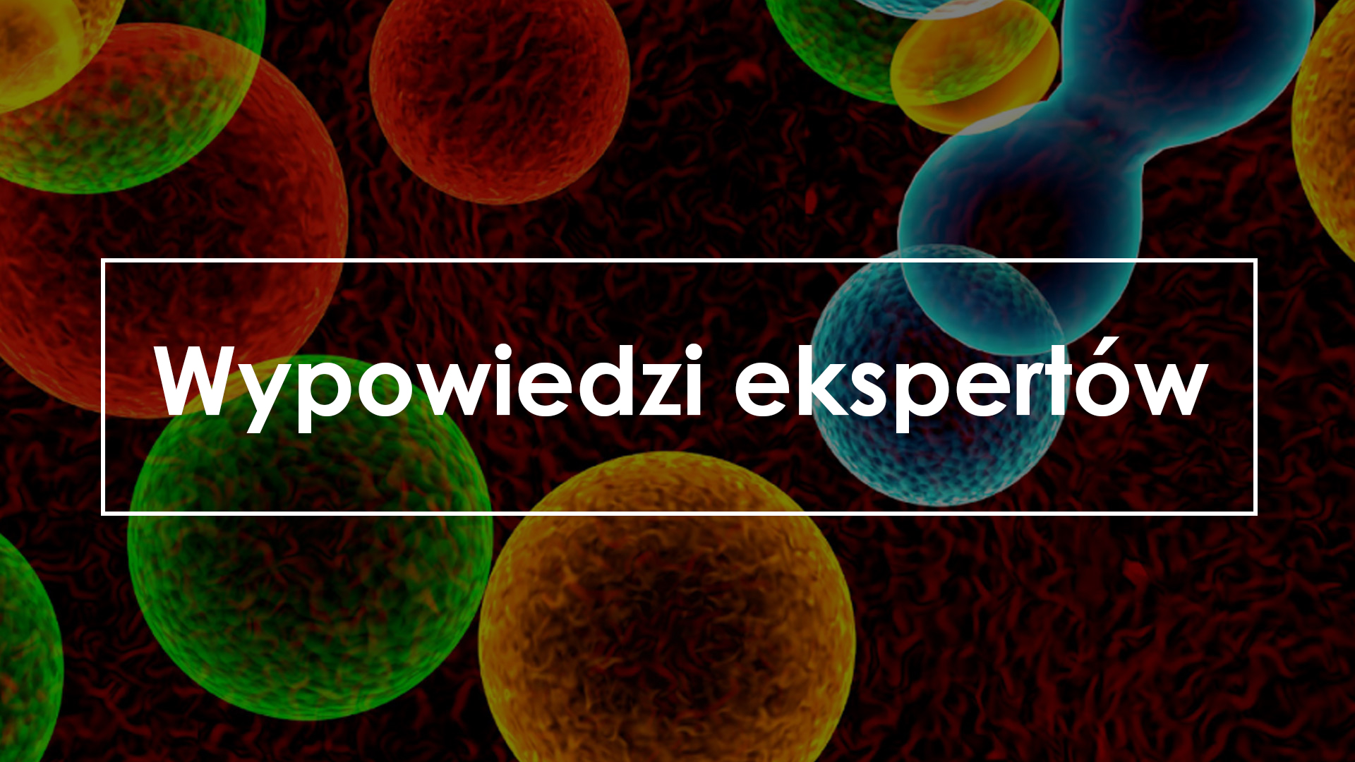 III Konferencja Zakażenia w Hematologii i Transplantologii | Wypowiedzi ekspertów