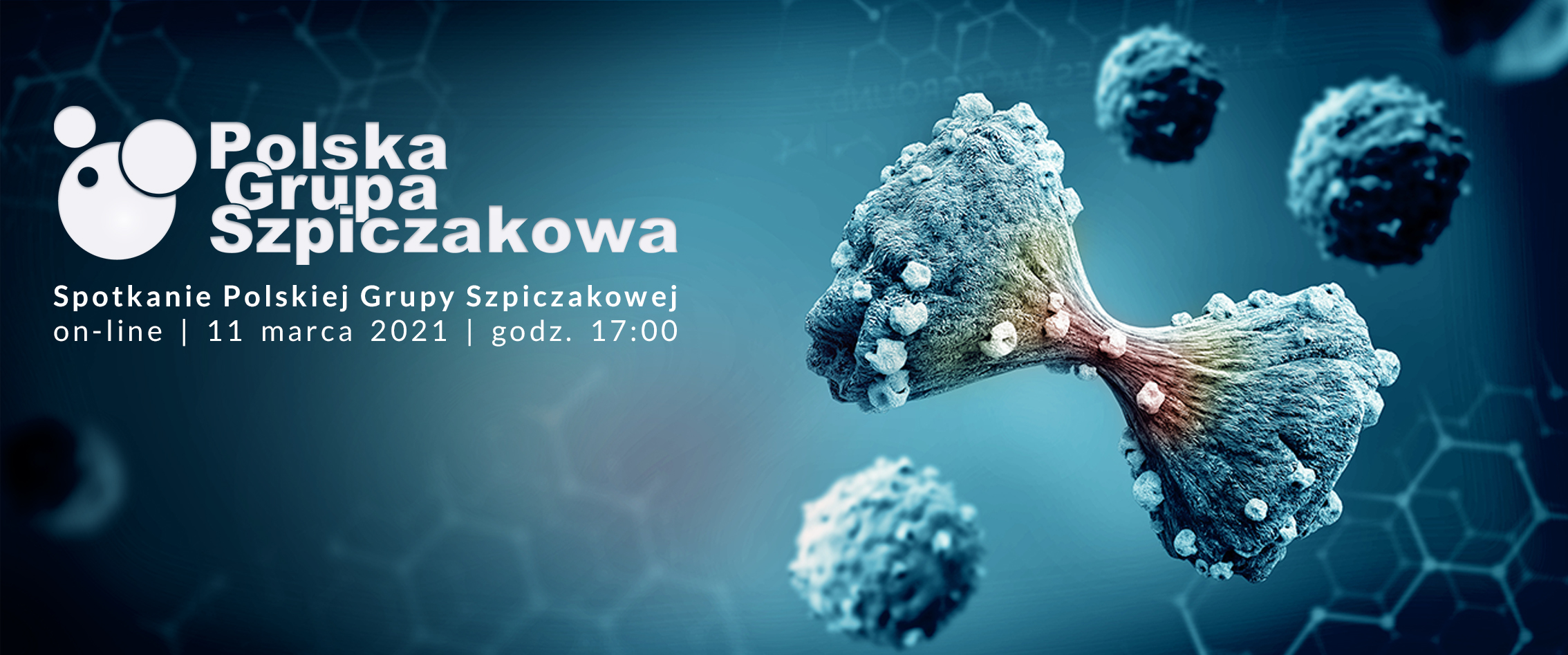 Spotkanie Polskiej Grupy Szpiczakowej | online